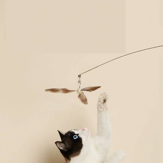 IntiMeg - Jouet pour chat Teaser pour chat IntiMeg - Image 3