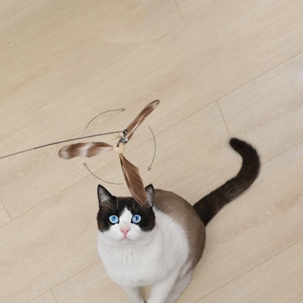 IntiMeg - Jouet pour chat Teaser pour chat IntiMeg - Image 4
