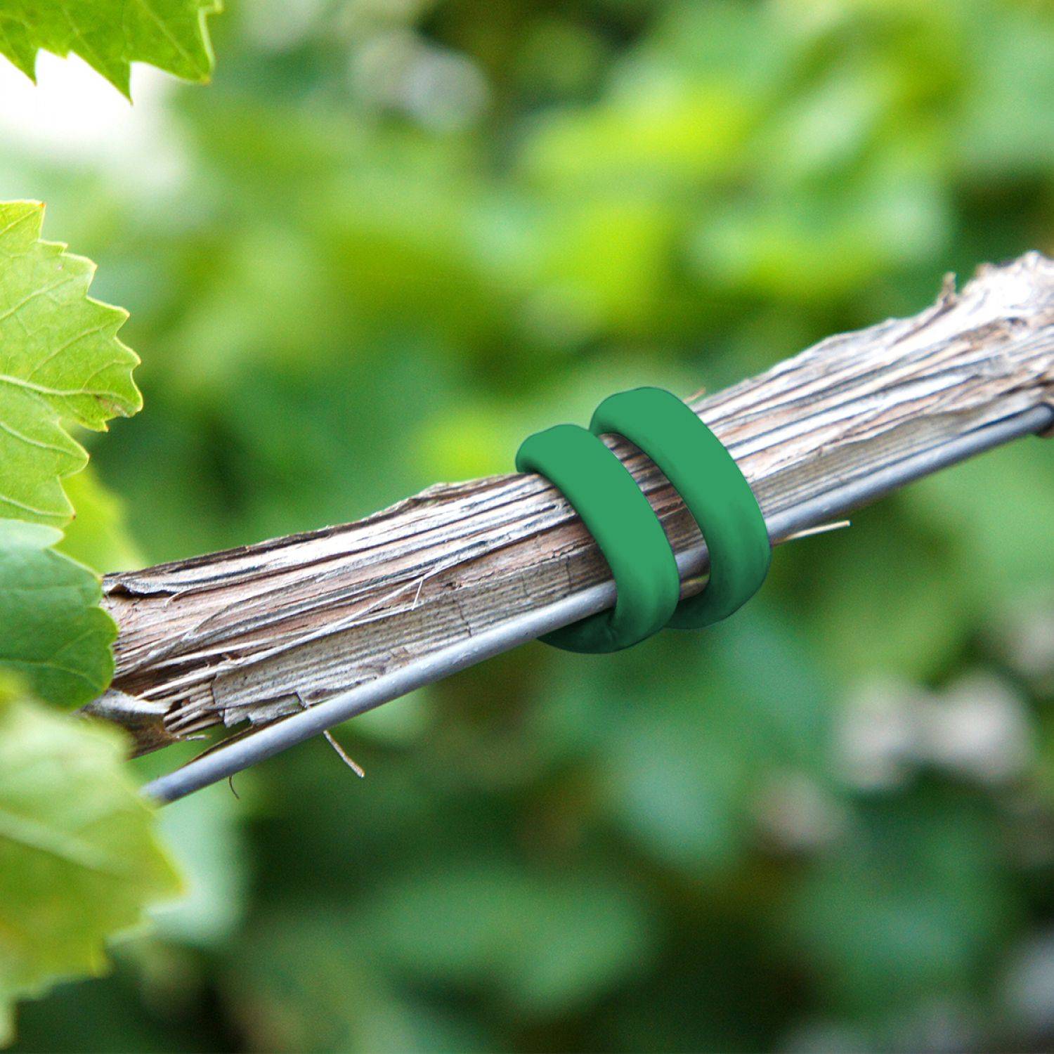 Linxor - Bobine de lien de tuteurage, tube creux antigel en PVC, pour plantes et arbustes d'intérieur ou extérieur - Diam 4,5 mm x 100 m - Vert - Linxor - Imagen 4