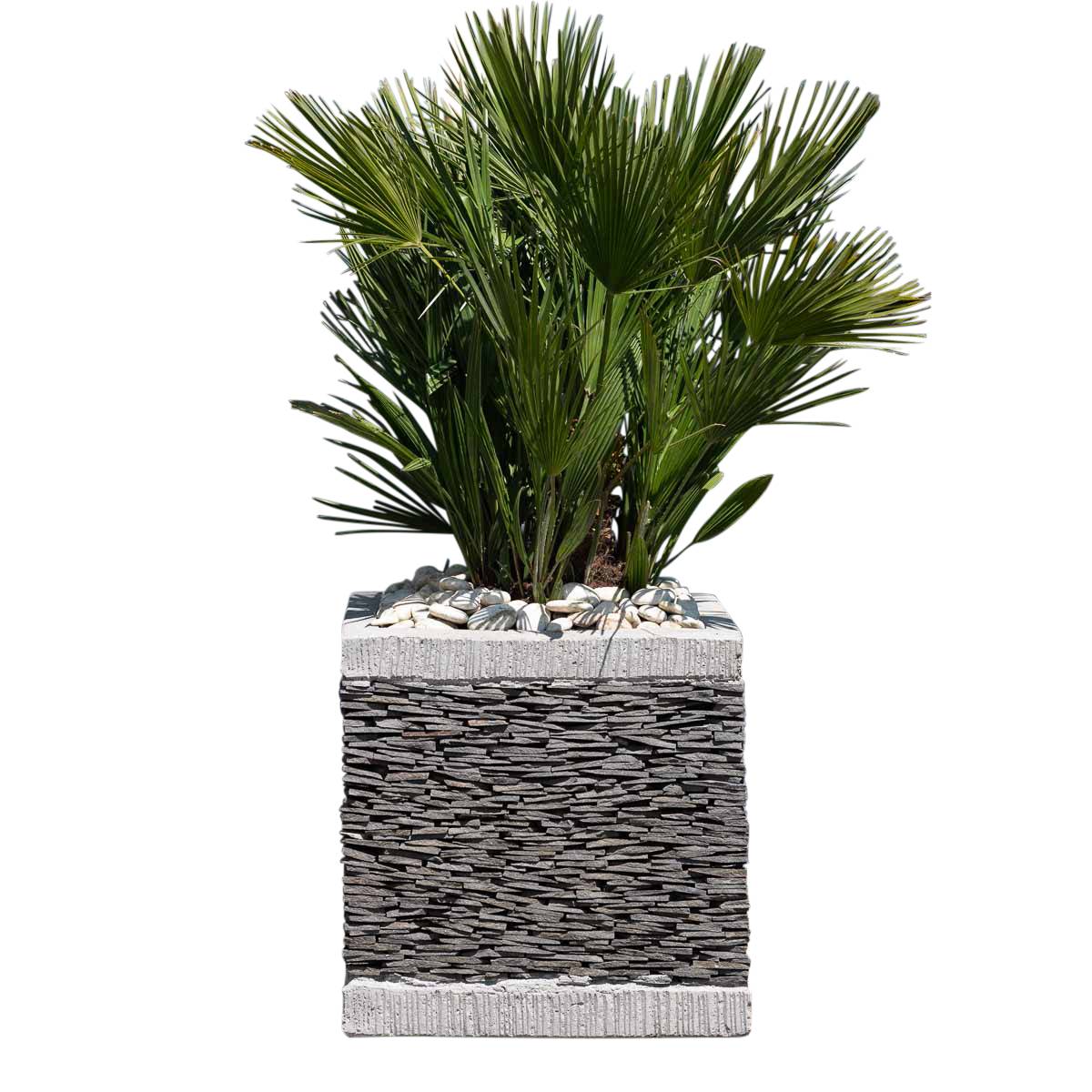 Pot bac jardinière carré ardoise 50cm jardin terrasse pierre naturelle - Image 1