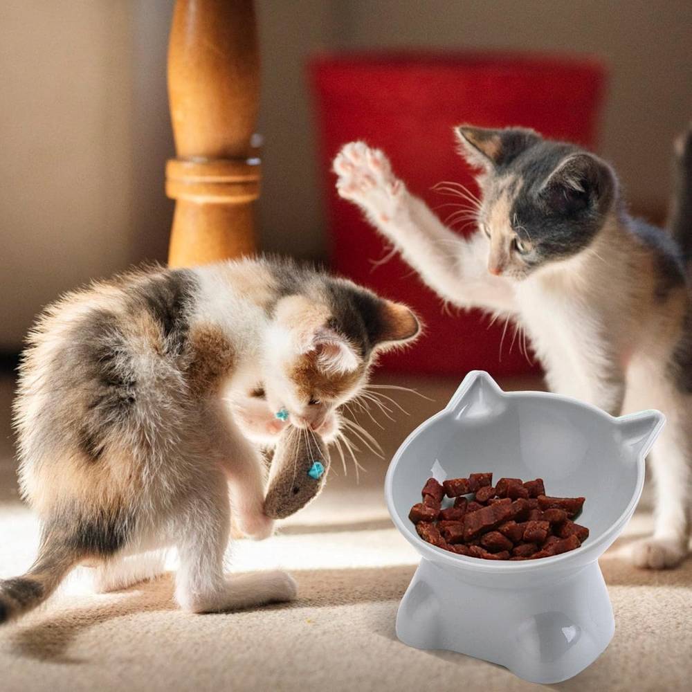 IntiMeg - Gamelle surélevée pour chat(Blanc) - IntiMeg - Image 3