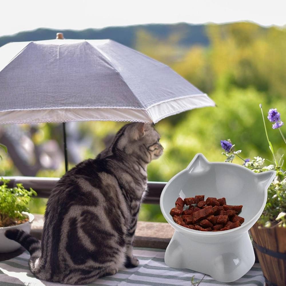 IntiMeg - Gamelle surélevée pour chat(Blanc) - IntiMeg - Image 4