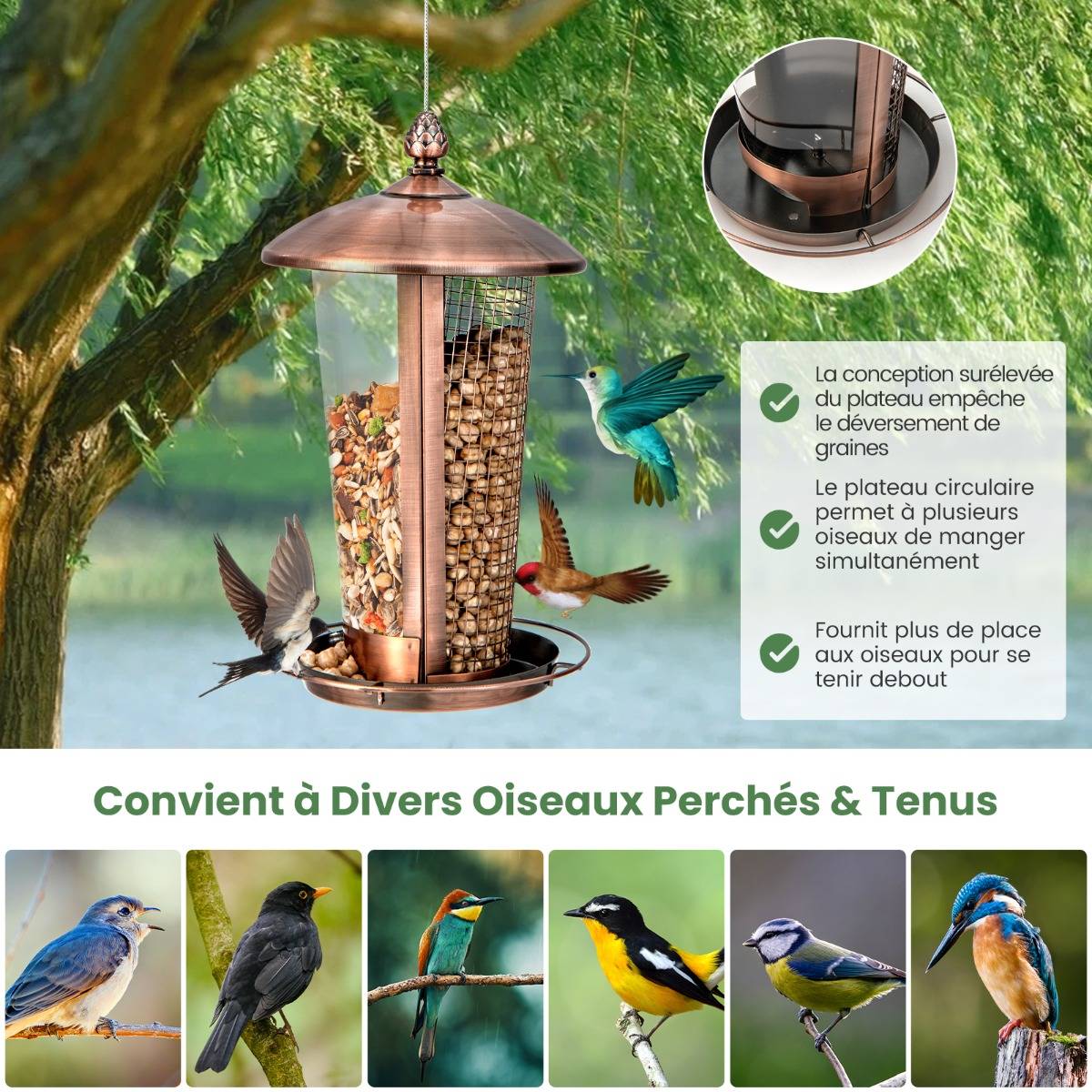 Mangeoire Suspendue Pour Oiseaux Sauvages – Gardman (Peckish), Grande Station, Acier