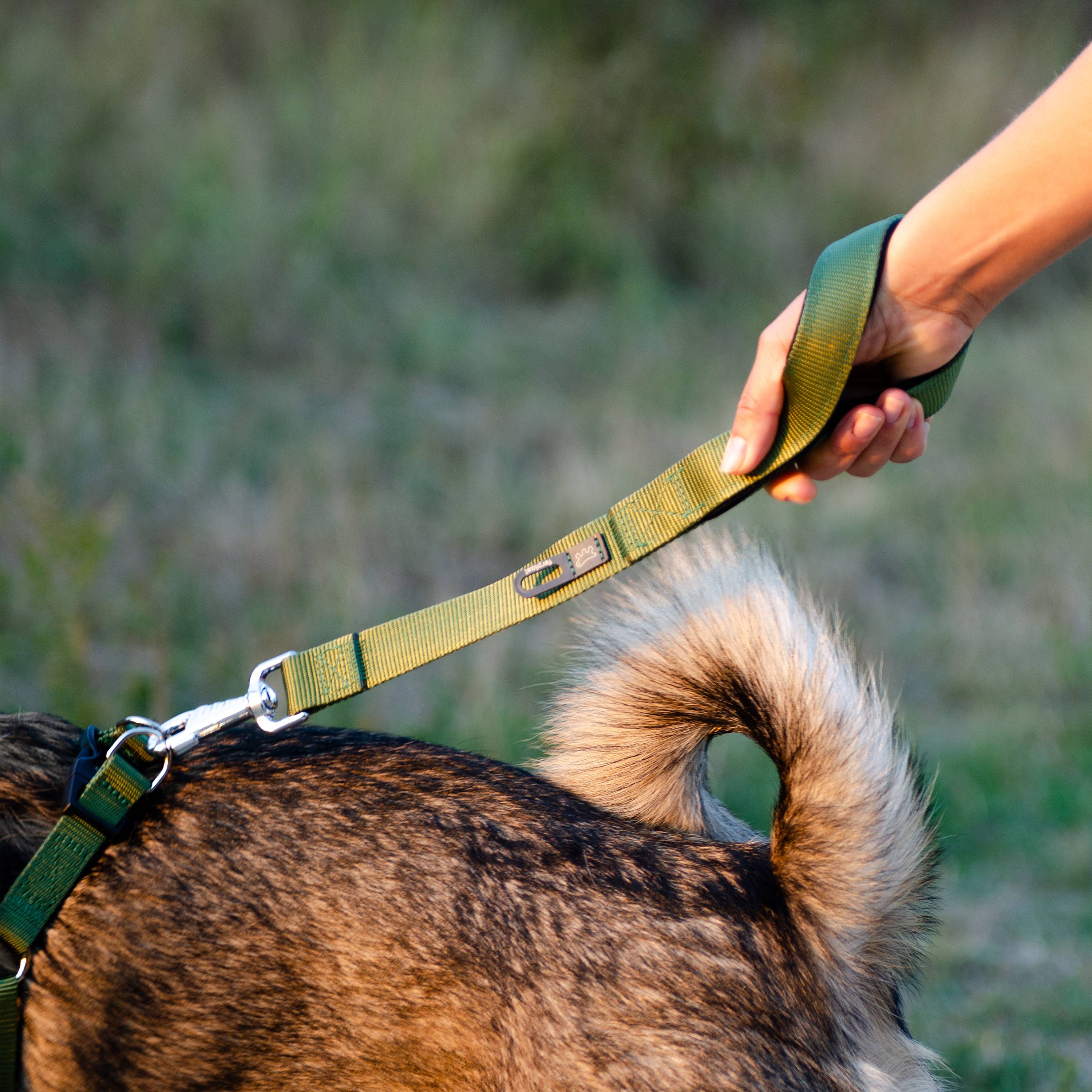 Ferplast - Ferplast laisse pour chien DAYTONA, Laisse courte en nylon pour chiens de taille moyenne/grande, 45 cm, avec poignée rembourrée confortable et - Imagen 4