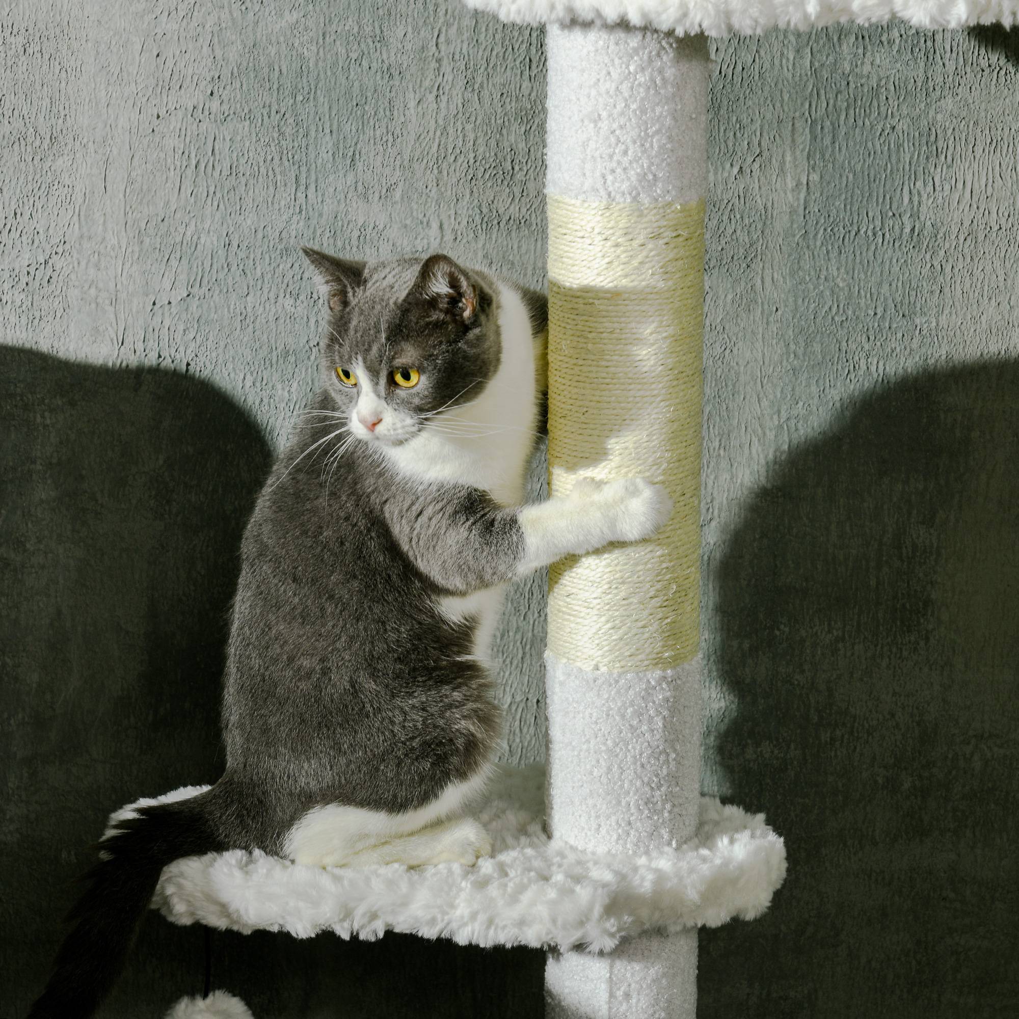Pawhut - Arbre à chat réglable en hauteur 225-255 cm - tour pour chat 3 griffoirs nuages, 2 balles - blanc - Imagen 8