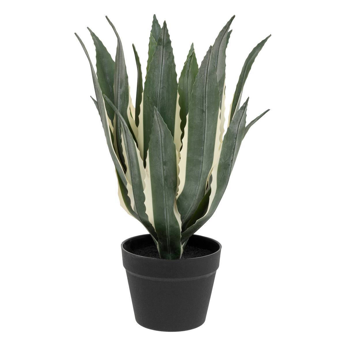 Atmosphera - Agave artificielle H55cm vert - Atmosphera Créateur d'intérieur - Imagen 1