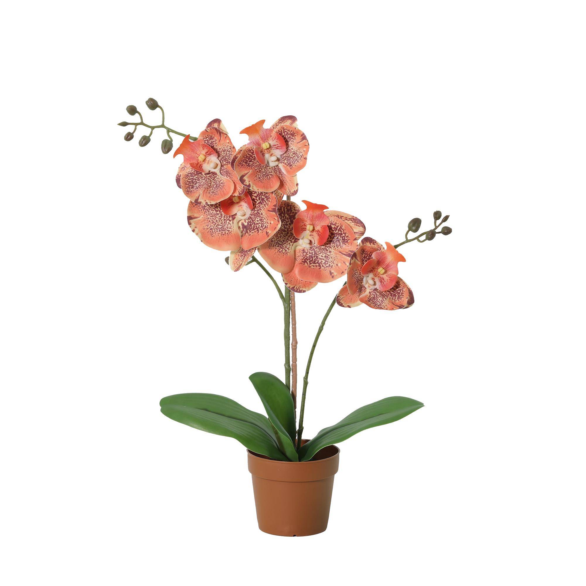 PANGIVO - Orchidée artificielle plastique orange 15 x 15 x 41 cm - PANGIVO