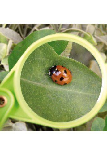 Esschert Design - Esschert Design - Loupe pour enfants - Imagen 3