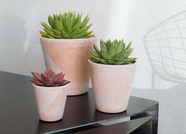 Artificielles - Petit cuvier Haut contemporain en terre cuite, H 16, D 15 cm Terre cuite - dimhaut: H 15 cm - couleur: Terre cuite - Imagen 3