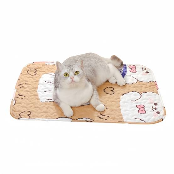 IntiMeg - Matelas de couchage pour chien et chat XL 70X50CM IntiMeg - Image 1