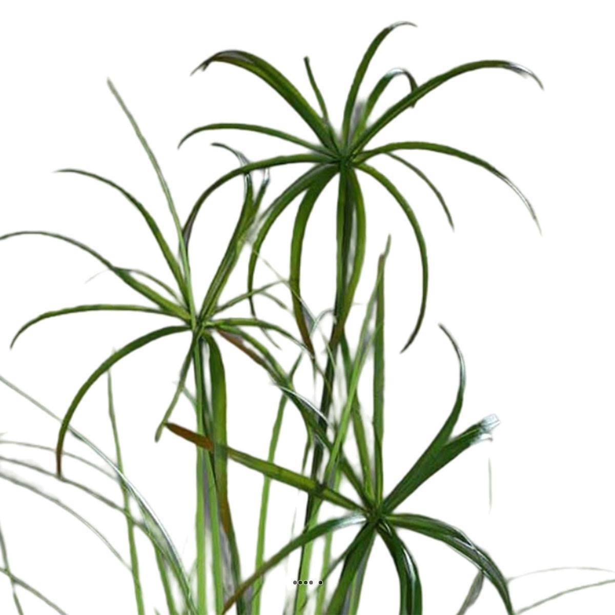 Artificielles - Branche de Papyrus artificiel H 117 cm 3 têtes - Imagen 2
