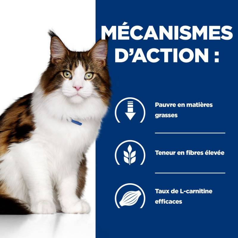 CROQUETTES CHAT ADULT PRESCRIPTION DIETS W/D MULTI BENEFIT - HILL'S 3 kg - Image 5