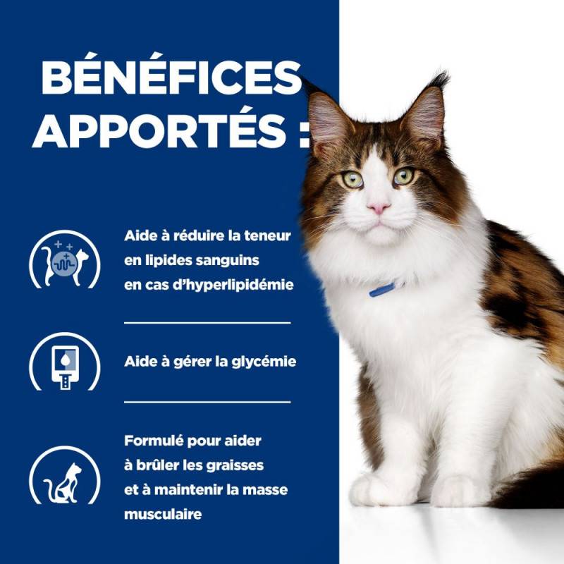 CROQUETTES CHAT ADULT PRESCRIPTION DIETS W/D MULTI BENEFIT - HILL'S 3 kg - Image 4