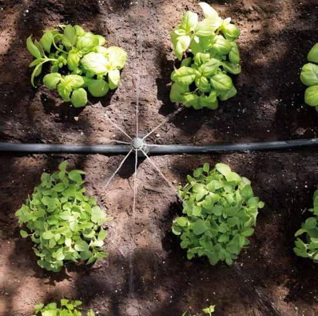 Hozelock - Kit d'arrosage jardin 10 goutteurs Hozelock - Imagen 2