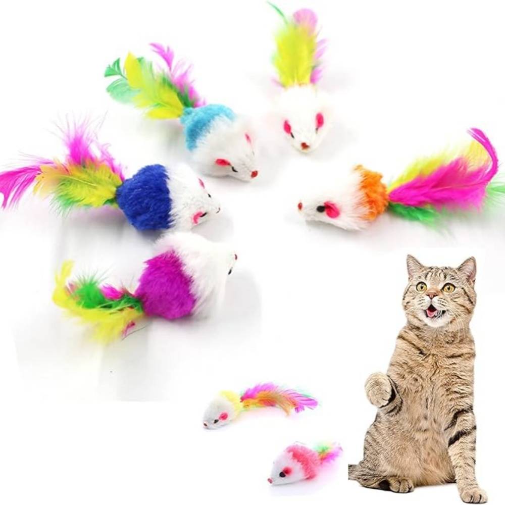 DtopbuyAge - Lot de 10 peluches pour chat (couleurs aléatoires) - Image 5