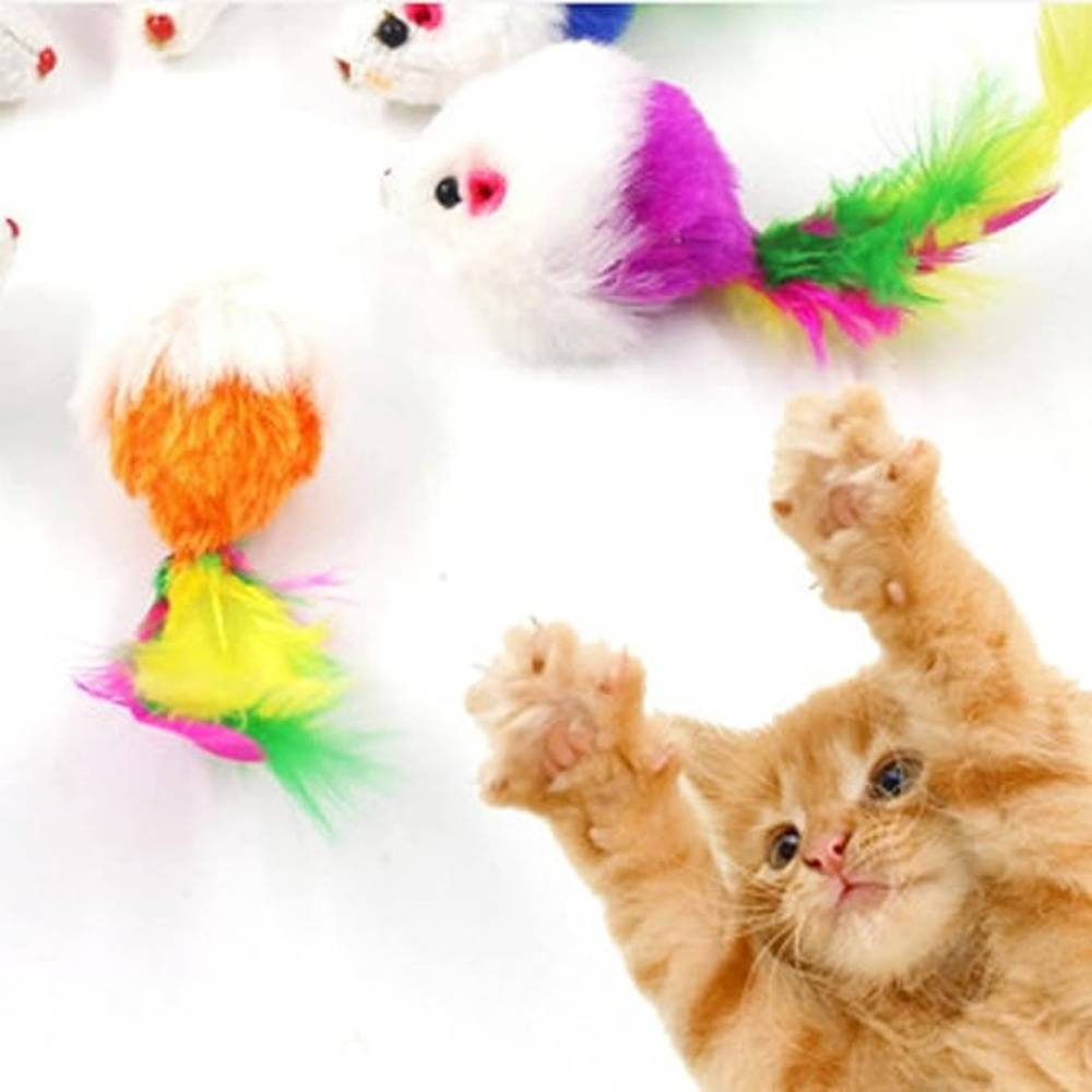 DtopbuyAge - Lot de 10 peluches pour chat (couleurs aléatoires) - Image 4