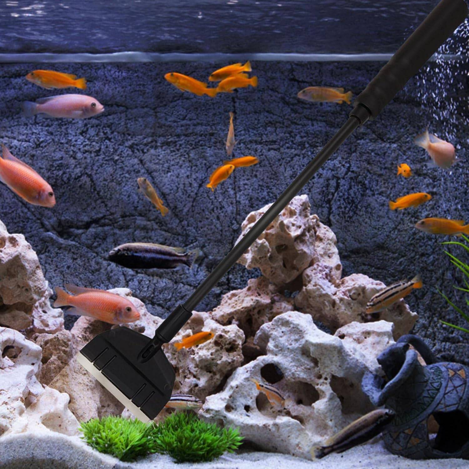 Grattoir à Algues pour Aquarium en Verre DtopbuyAge - Image 3