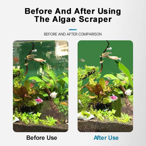 Grattoir à Algues pour Aquarium en Verre DtopbuyAge - Image 5
