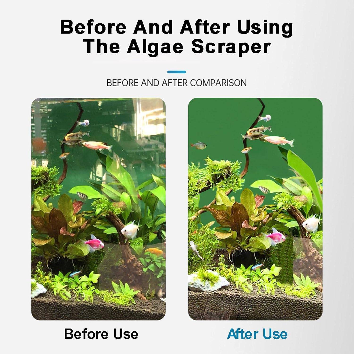 Grattoir à Algues pour Aquarium en Verre DtopbuyAge - Image 5