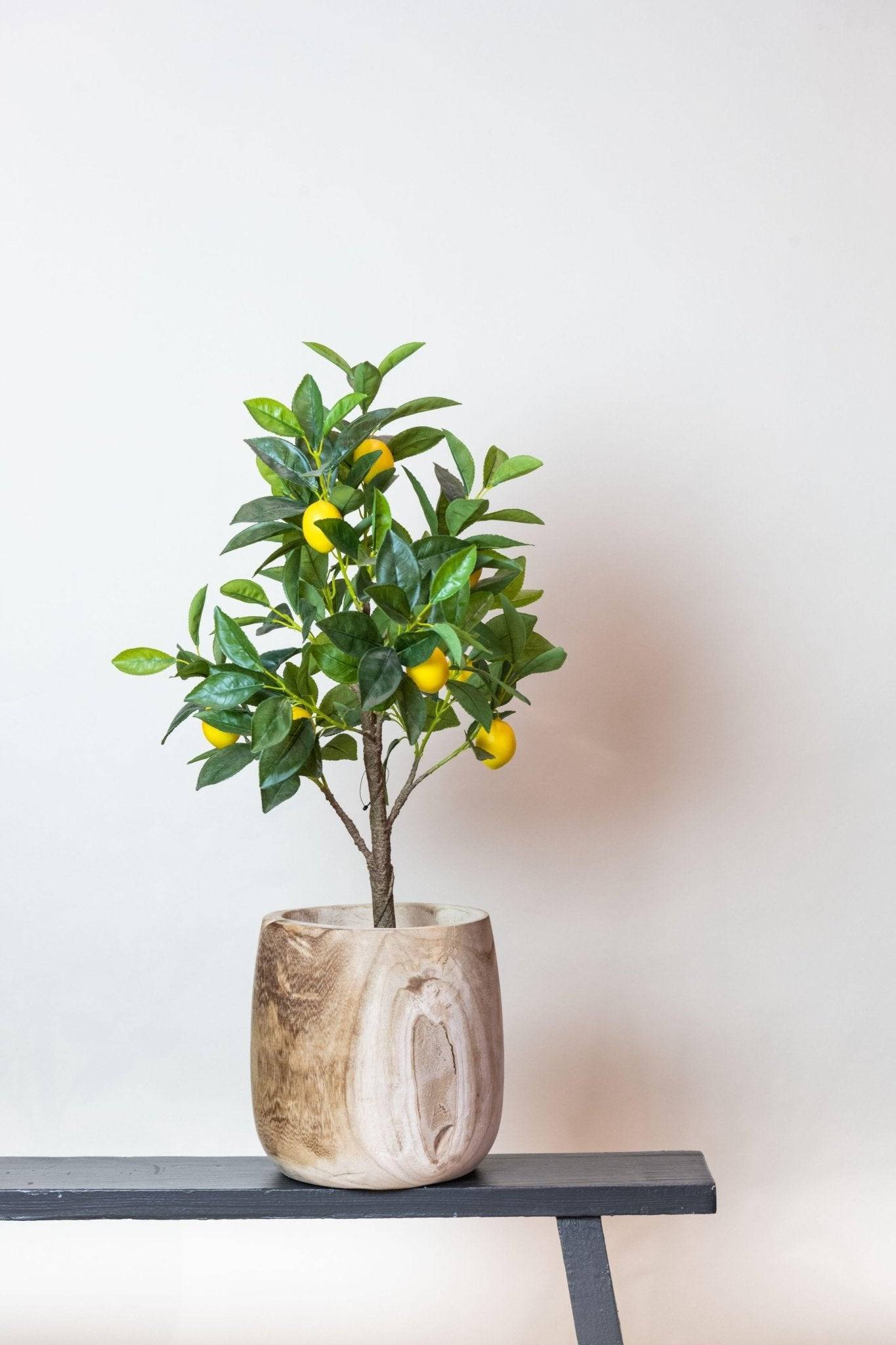 La Green Touch - Citronnier plante artificielle - h72cm, Ø12cm- La Green Touch - Imagen 6