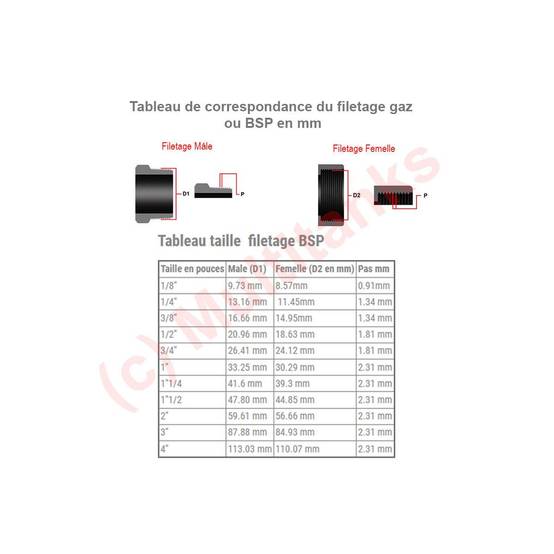 Raccords cannelés : Embout femelle avec écrou libre - Ø A: 2'' | Ø B: 45mm - Image 3