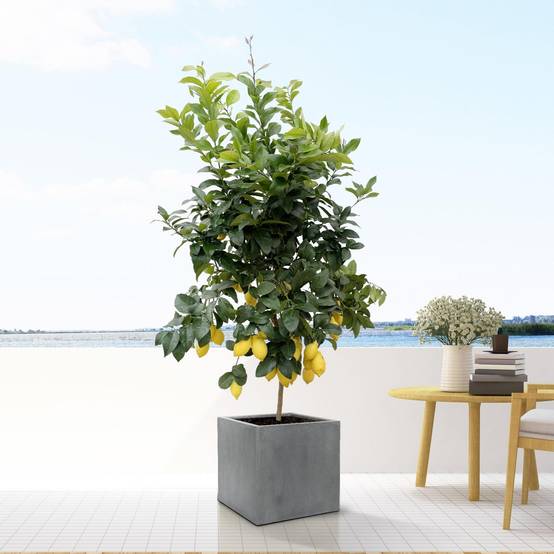 Pot Block Gris 60 cm- La Green Touch - Image 2
