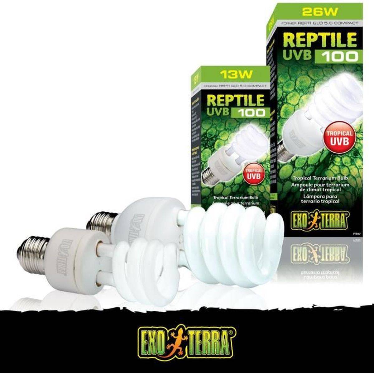 Lampe fluocompacte UVB Exo Terra Repti Glo 5.0 Compact, 25 W à 30 cm, culot E27 - EXO TERRA - Image 4