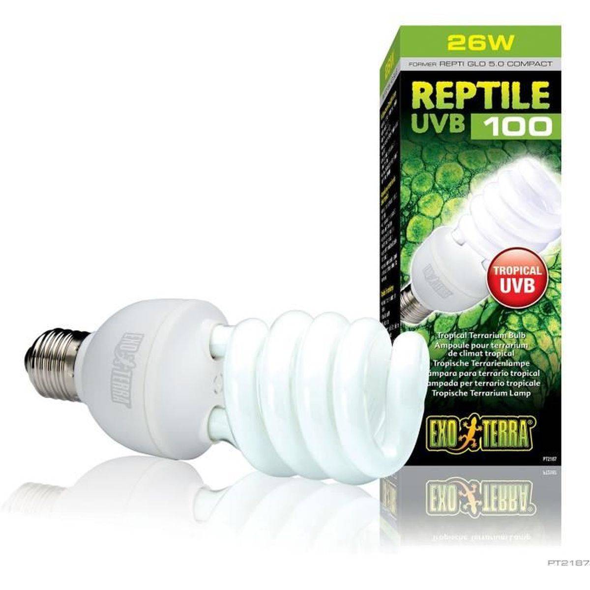 Lampe fluocompacte UVB Exo Terra Repti Glo 5.0 Compact, 25 W à 30 cm, culot E27 - EXO TERRA - Image 2