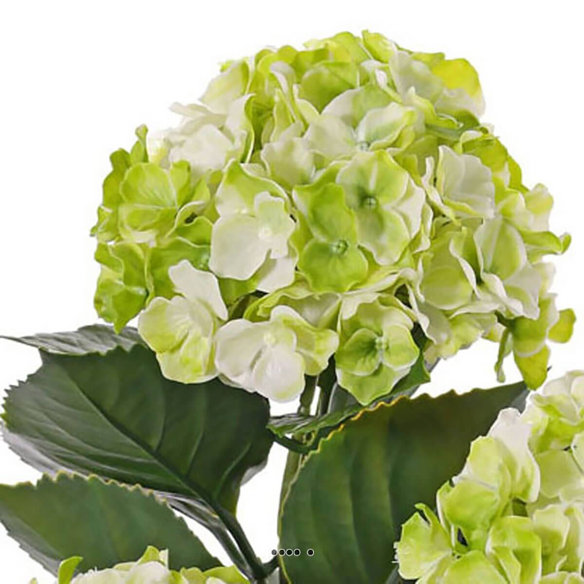 Artificielles - Hortensia artificiel 3 têtes en piquet pour extérieur H 43 cm Crème vert - couleur: Crème vert - Imagen 3
