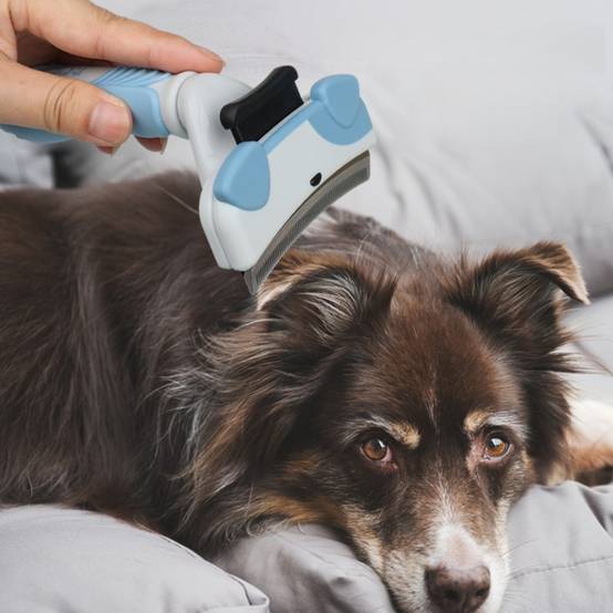 Pinceau de toilettage pour chien et chat - IntiMeg - Image 4
