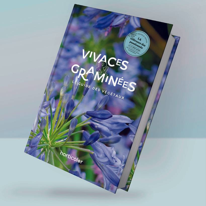 Vivaces & Graminées