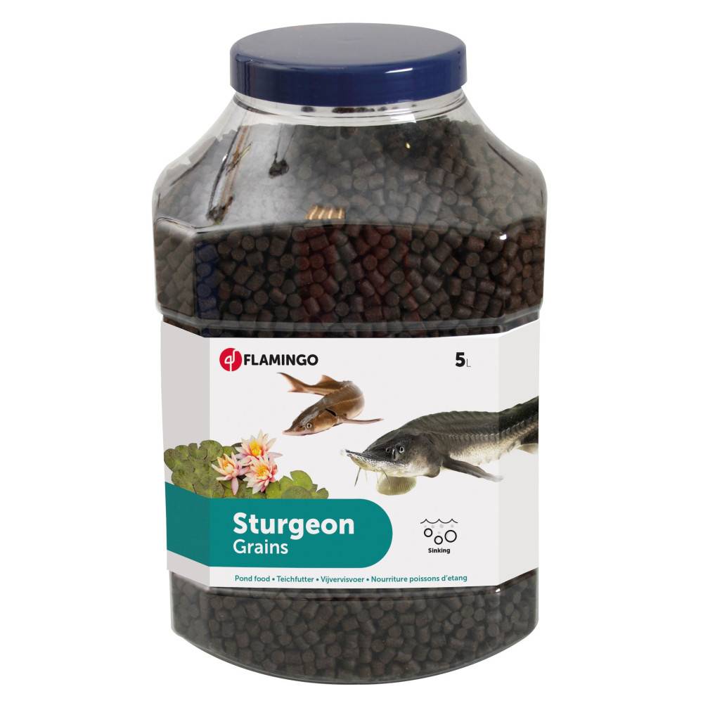 Esturgeons nourriture en granulés ø 6 mm 5 Litres - Image 1
