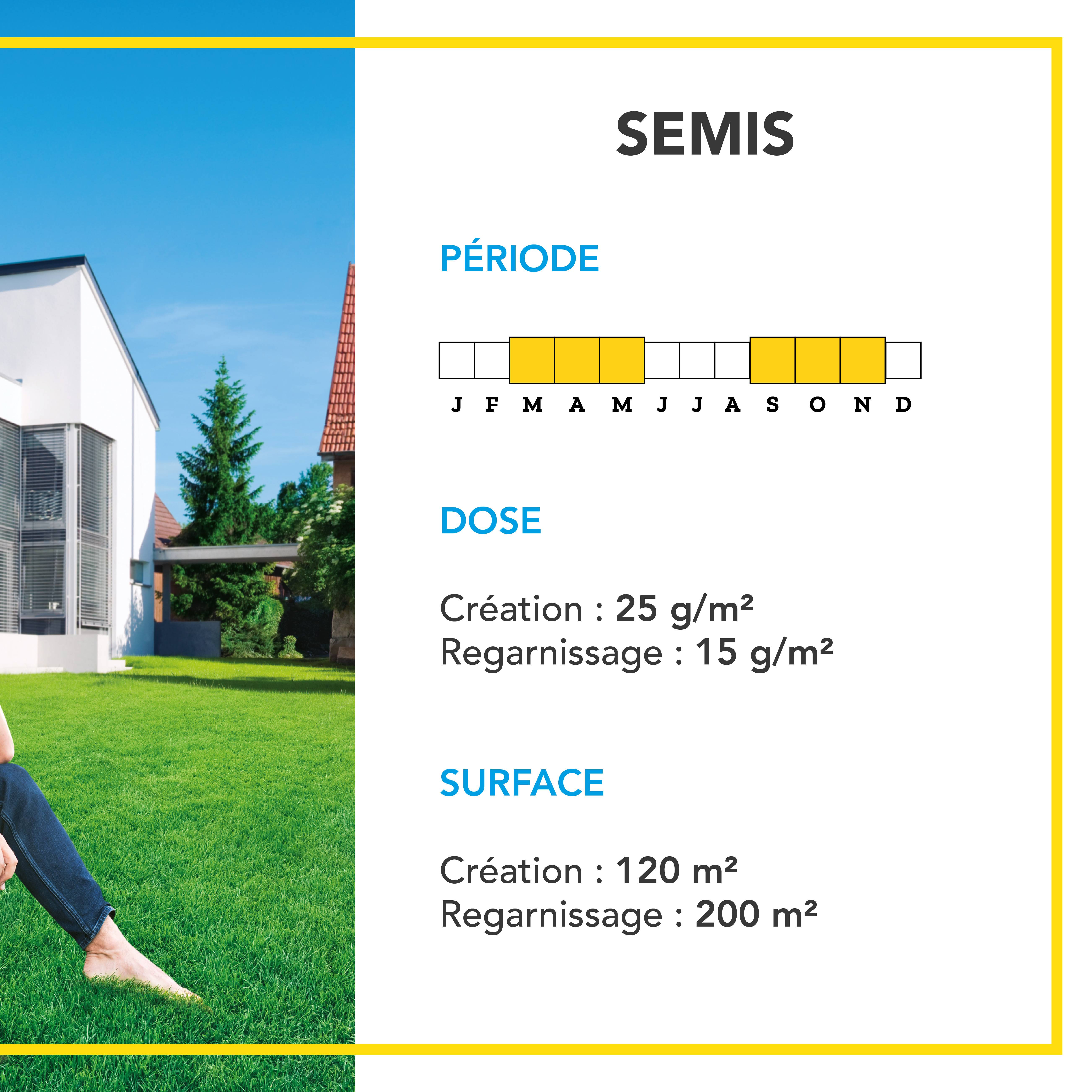 Gazon Anglais et Ultra dense - Aspect Prestigieux Parcs Anglais - Tapis Dense Effet velours - Densité Extrême - 3KG - BARENBRUG - Image 4