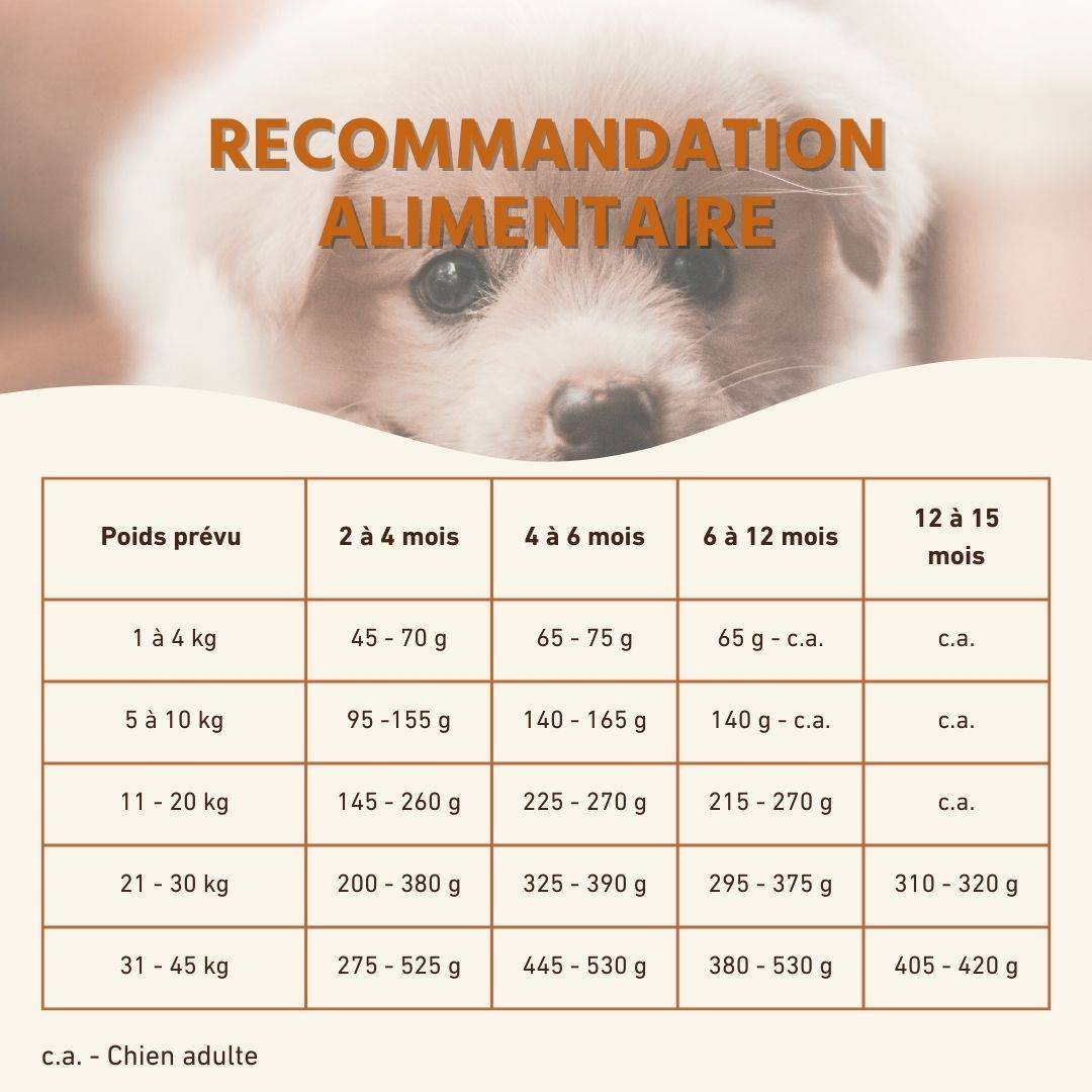 Wildfang - Pack chiot « Bienvenue à votre compagnon à quatre pattes » - pour les grands chiens de plus de 25 kg - Image 10