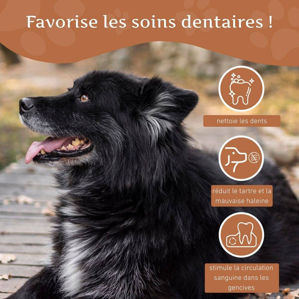 Wildfang - Pack chiot « Bienvenue à votre compagnon à quatre pattes » - pour les grands chiens de plus de 25 kg - Image 4