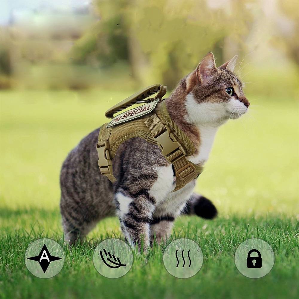 Harnais réglable pour chat et chien - IntiMeg - Image 4