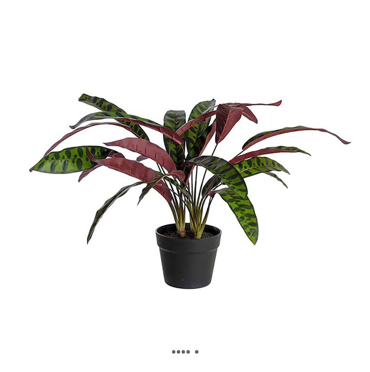 Artificielles - Calathea artificiel en pot H 60 cm D 65 cm qualité haut de gamme - Imagen 1