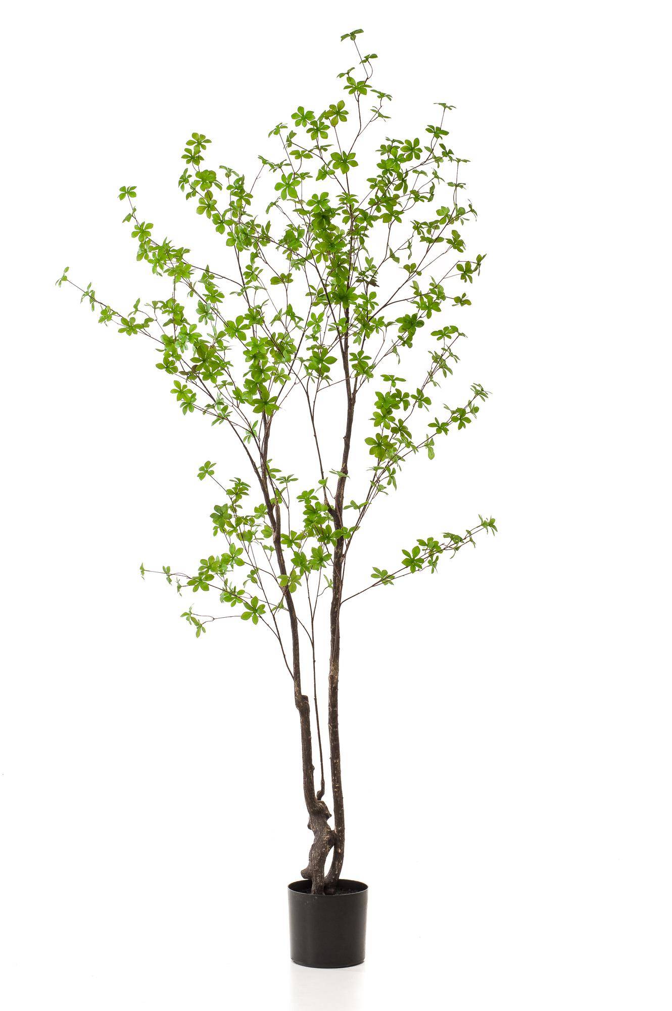 Arbre Artificiel Capucine Tropaeolum Réaliste Décoration Intérieur 210cm - ComfortXL Green Living - Image 4