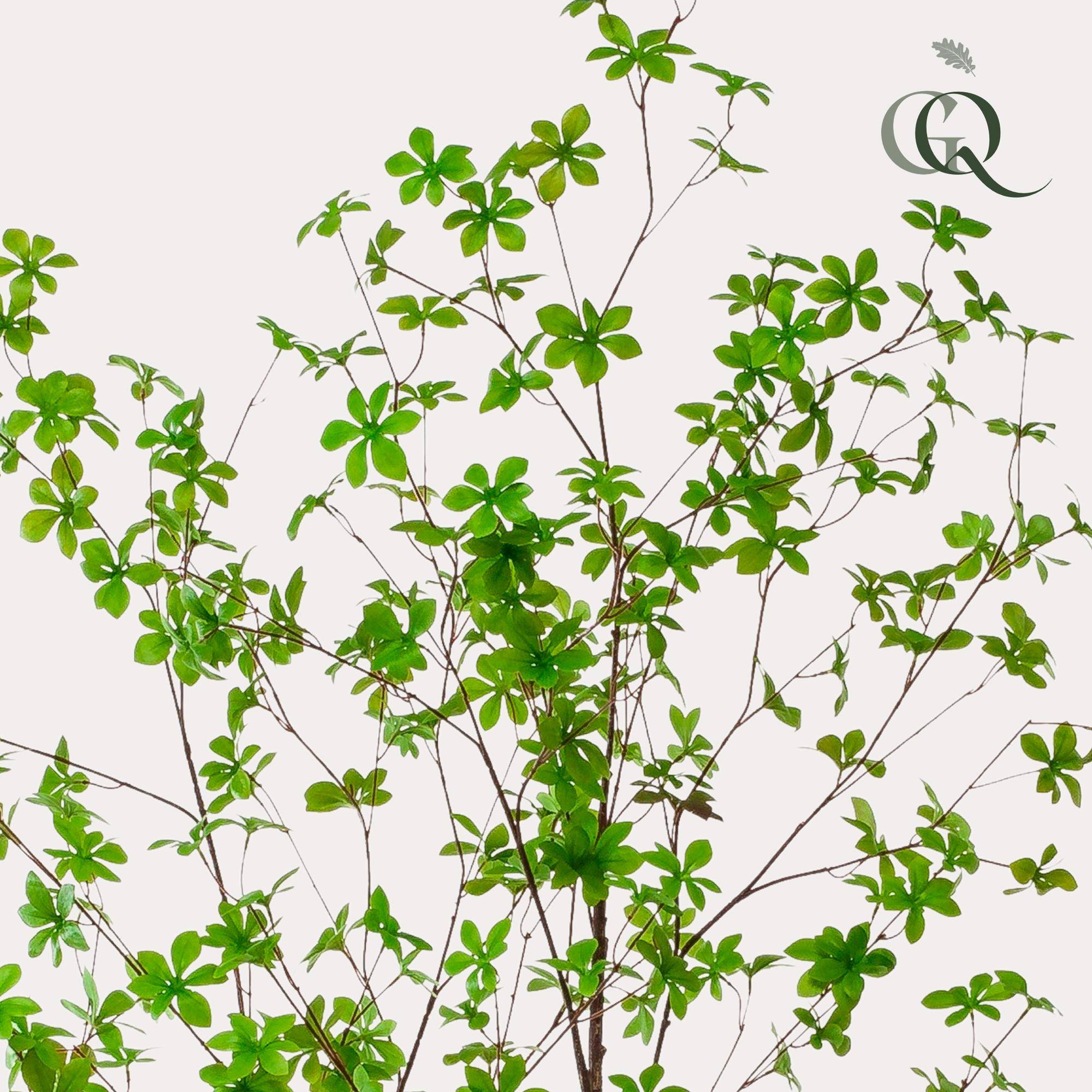 Arbre Artificiel Capucine Tropaeolum Réaliste Décoration Intérieur 210cm - ComfortXL Green Living - Image 2