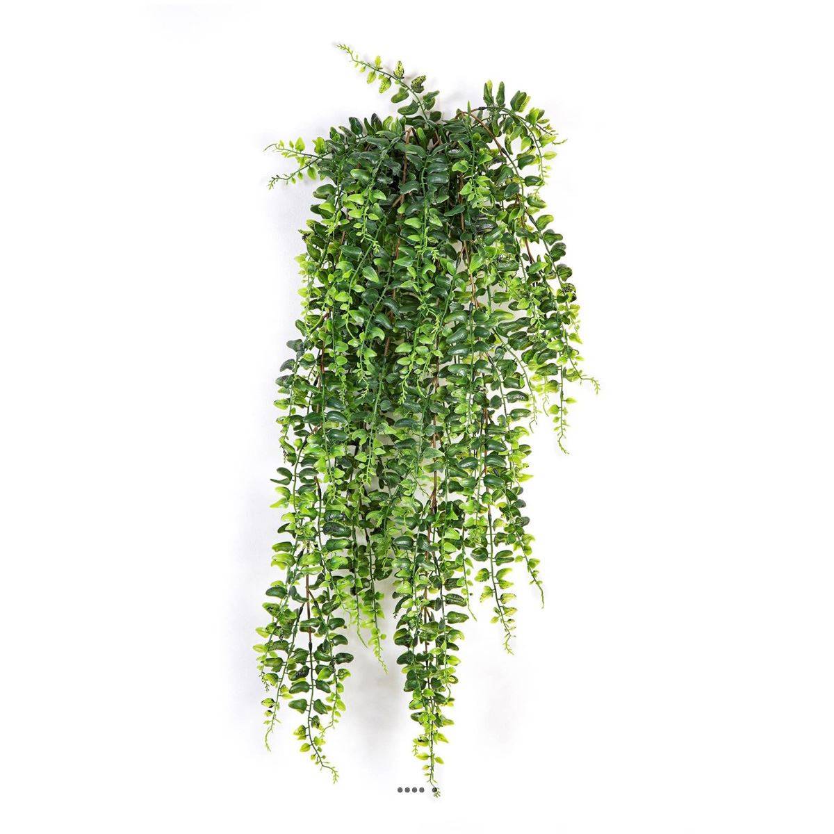 Superbe fausse fougère de Boston en chute H 75 cm - Image 2