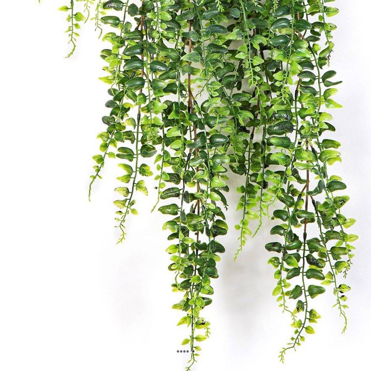 Superbe fausse fougère de Boston en chute H 75 cm - Image 3
