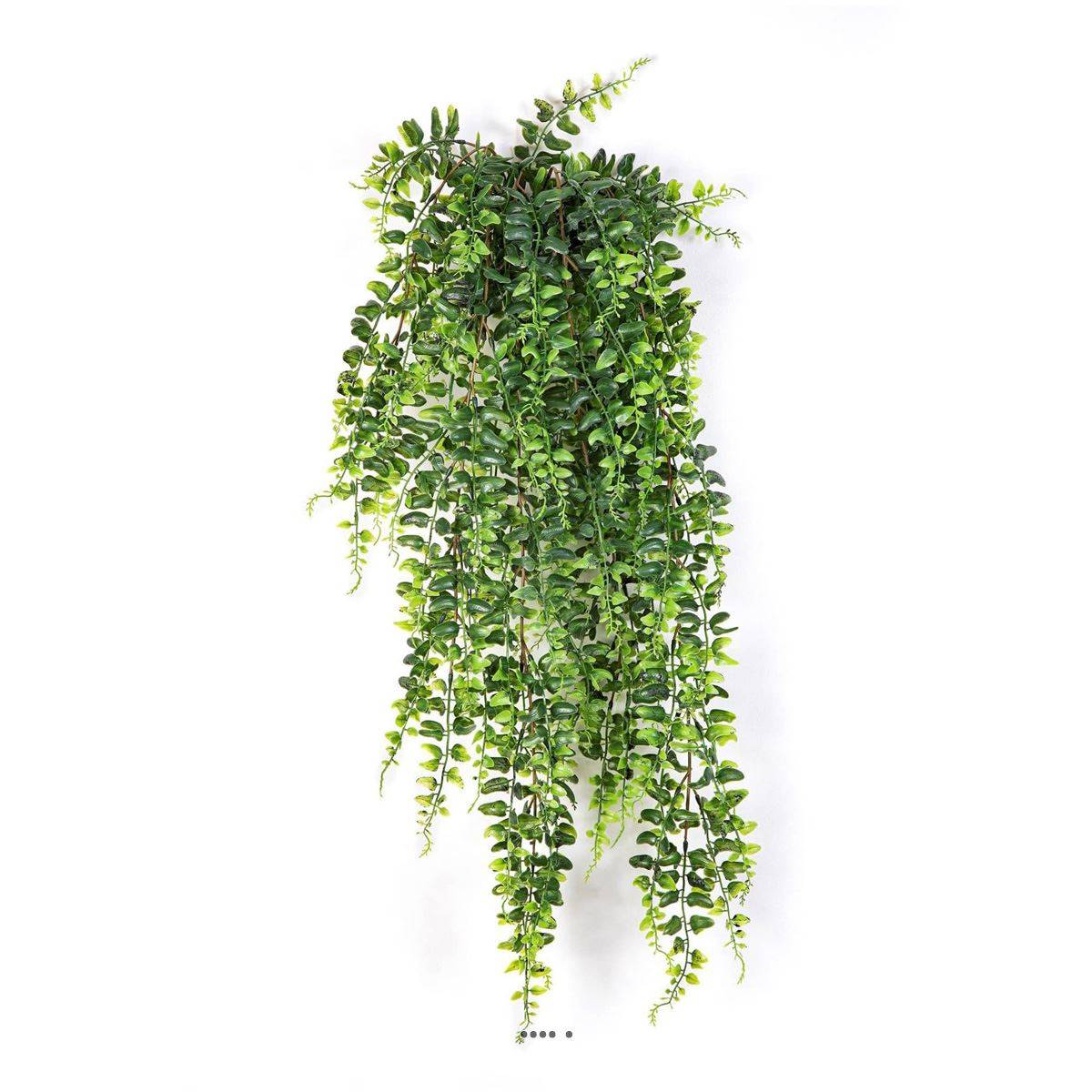 Superbe fausse fougère de Boston en chute H 75 cm - Image 1