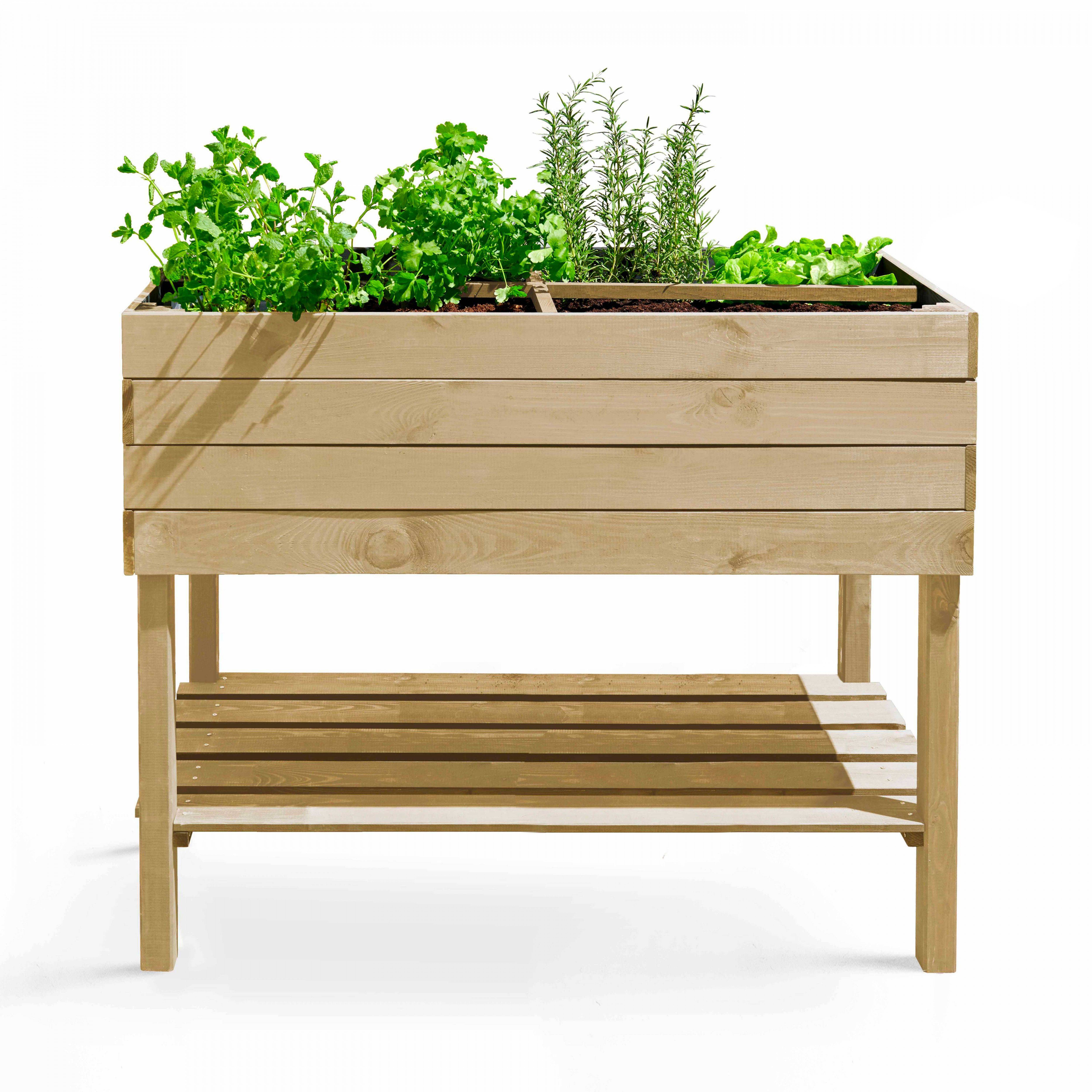 Oviala - Potager en bois rectangulaire sur pied
Topi - Oviala - Imagen 1