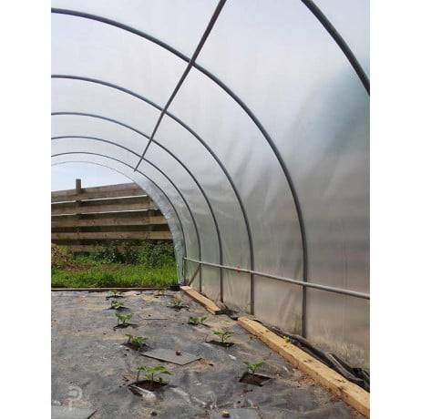 Plastidis - Bâche de serre thermique Lumisol 200 microns - Long 5 m, Larg 8 m - Imagen 3