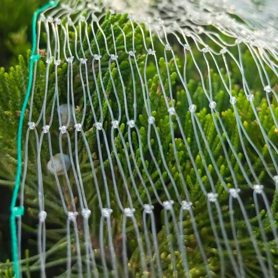 Filet de Protection Anti-Oiseaux 4x10m - Maille 15x15mm en Nylon - Image 5