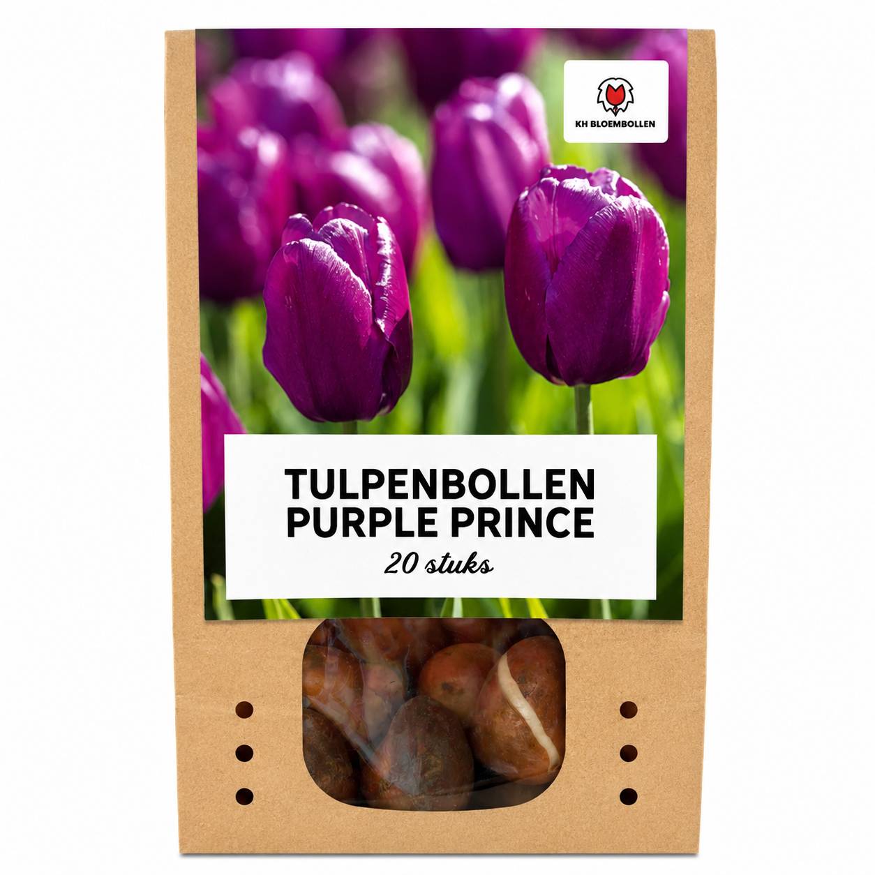 La Green Touch - Tulipe Purple Prince - 20 bulbes