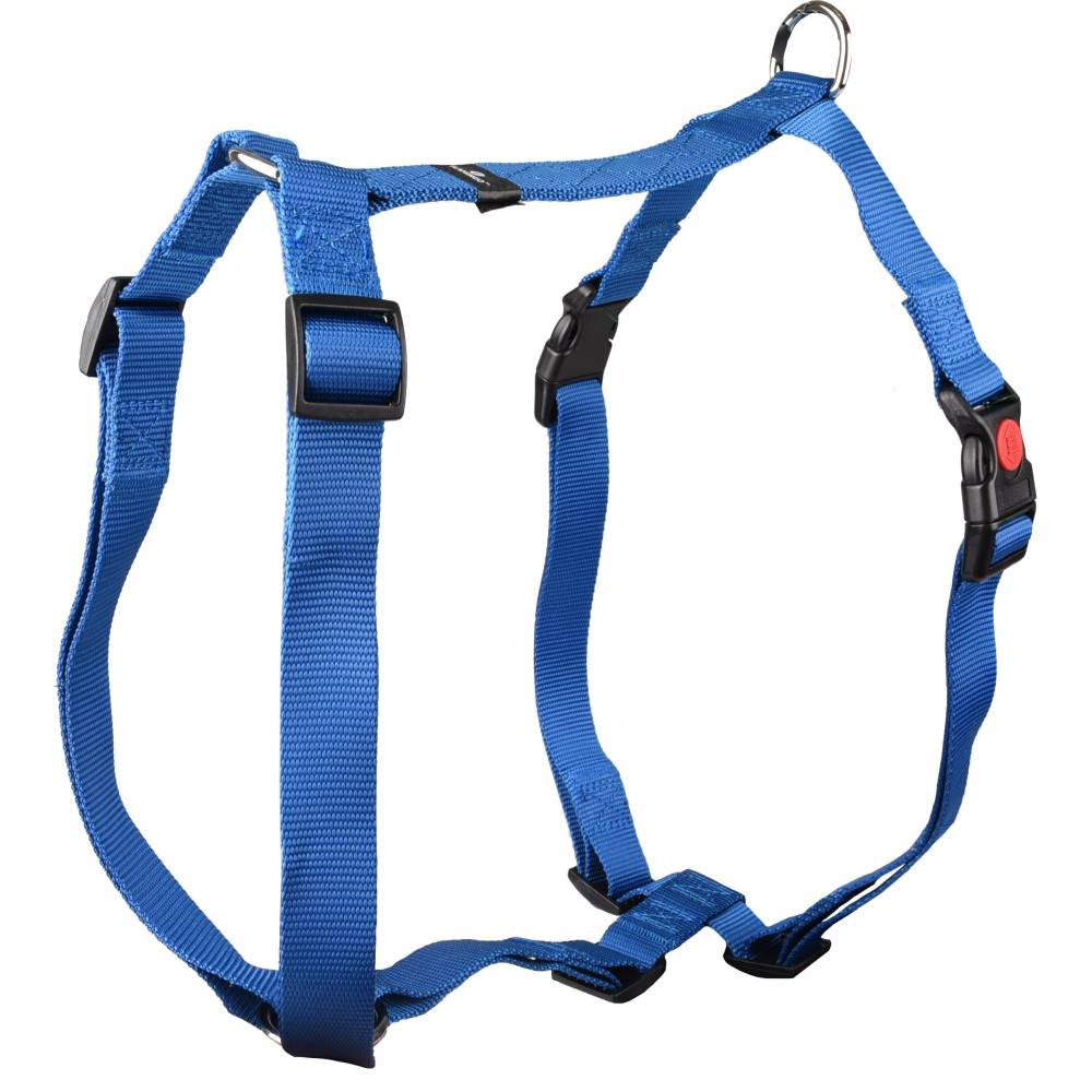 Harnais H Ziggi  XXL+ cou  de 70 -110 cm 25 MM  bleu pour chien. - Imagen 1