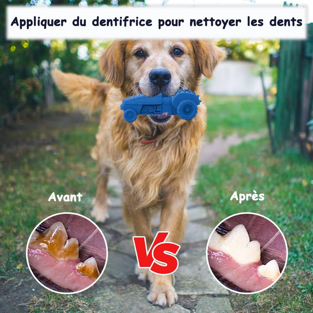 Petsation - Jouet bleu en latex à mâcher robuste et résistant pour moyens et grands chiens - Petsation - Imagen 4
