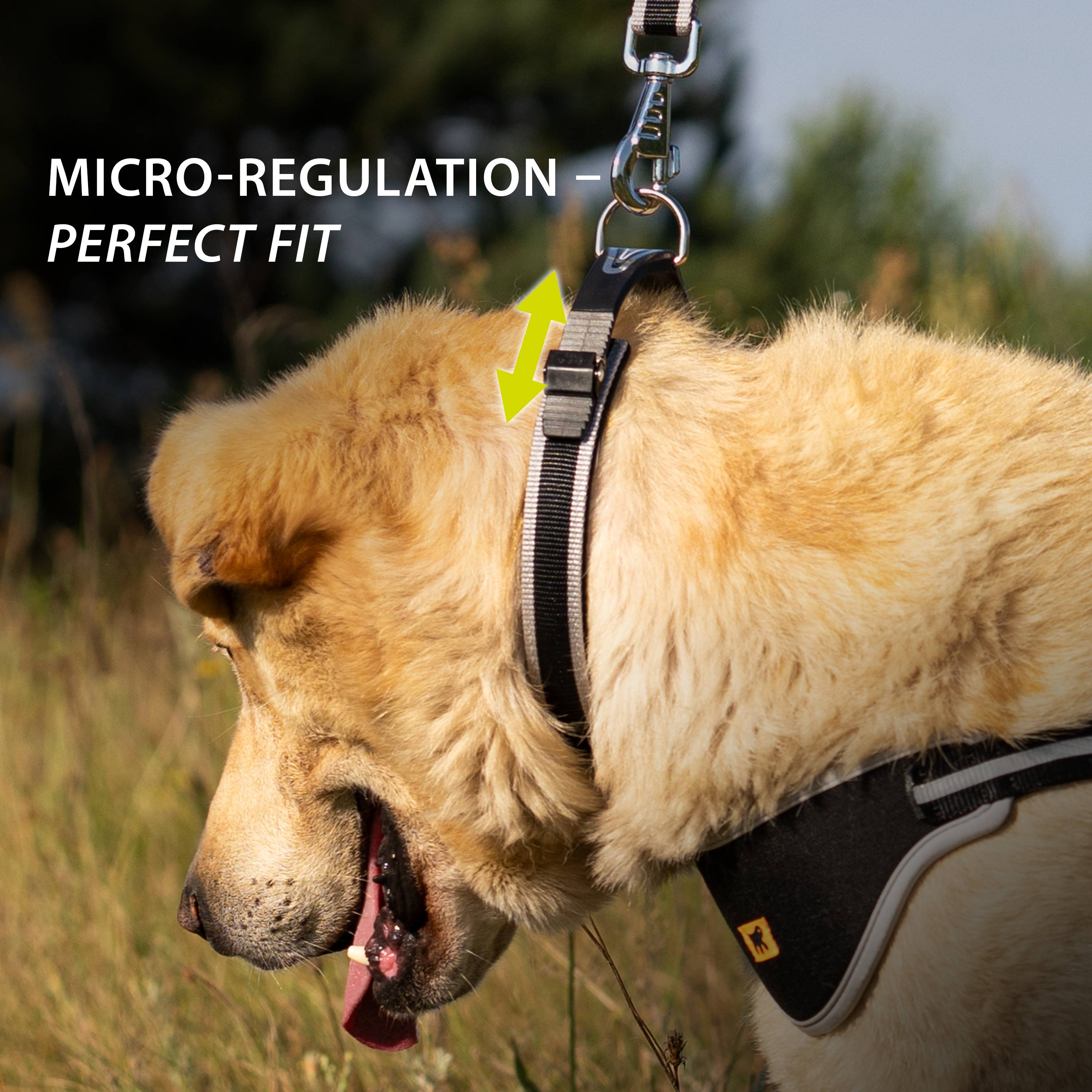 Ferplast - Ferplast Collier Chien ERGOCOMFORT C15/33 Collier pour chien de taille moyenne, fermeture avec micro-ajustement, rembourrage doux, dégagement rapide, - Imagen 6