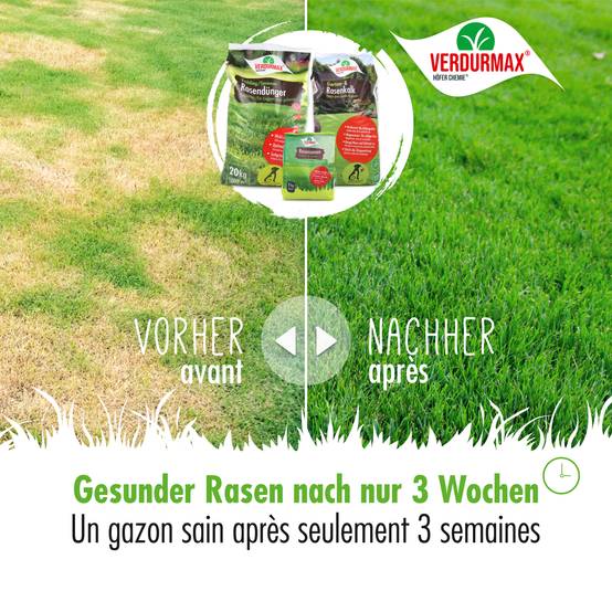 Kit de démarrage de printemps VERDURMAX® pour 250 m² de surface de gazon x 1 - Image 4